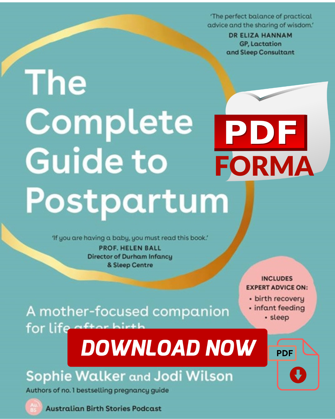 THE COMPLETE GUIDE TO POSTPARTUM  A mother-focused companion for life after birth